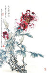 国画牡丹