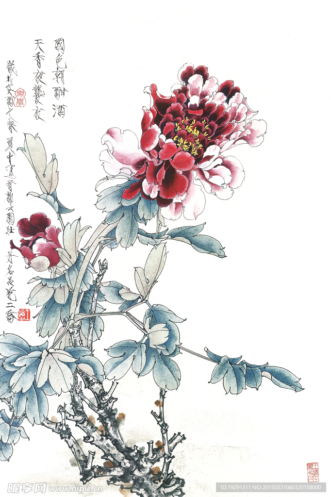 国画牡丹