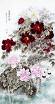 牡丹花卉图