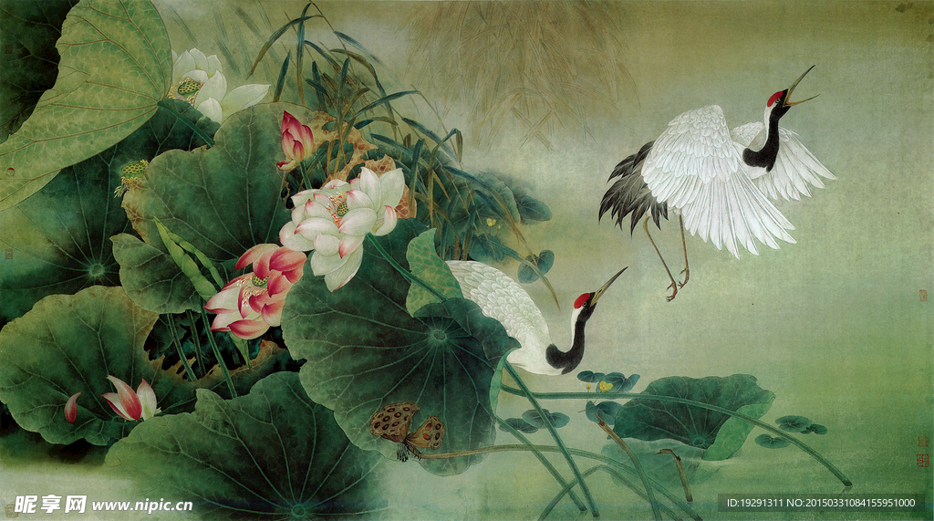 国画荷花