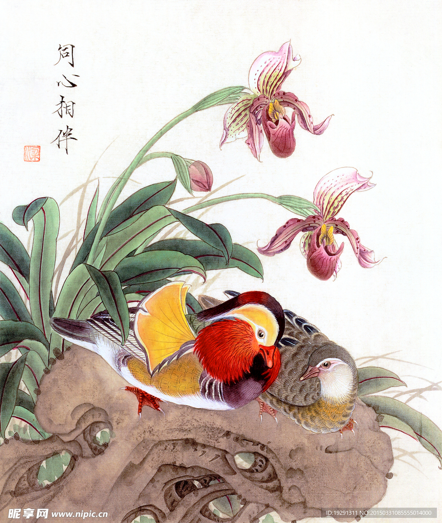 花鸟图