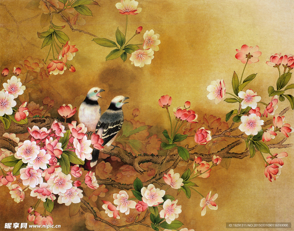 国画花鸟