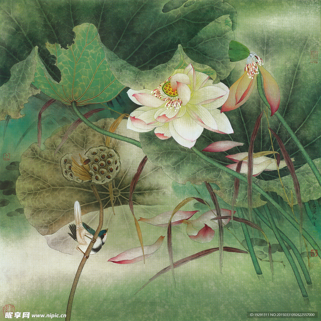 国画荷花图