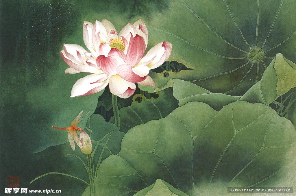 国画荷花