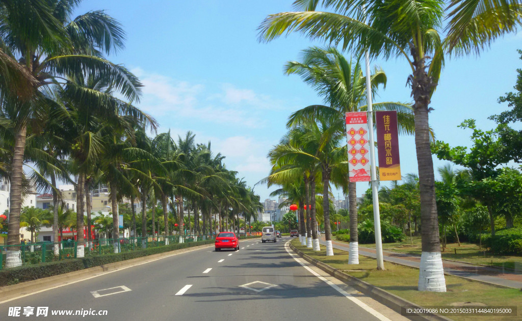 景观路