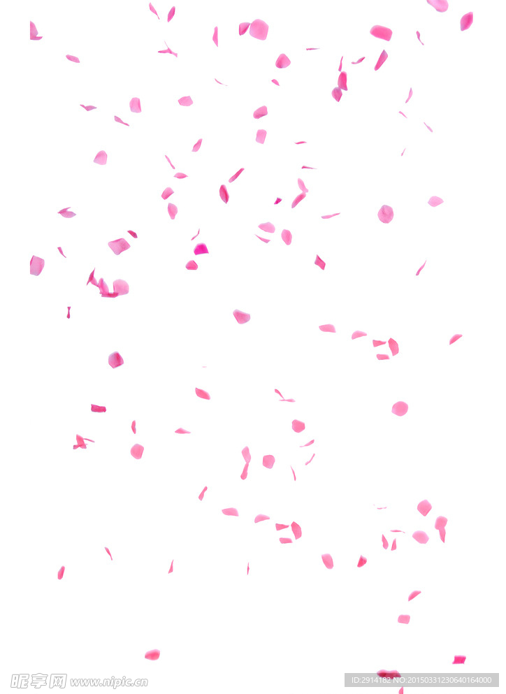 玫瑰花瓣