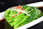 广东菜心