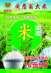 大米简介