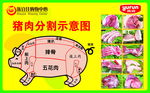 猪肉分割示意图PSD分层素材