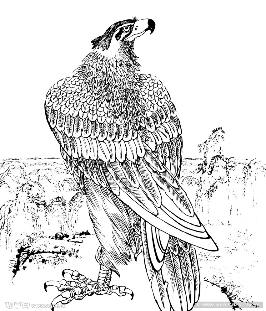 雄鹰