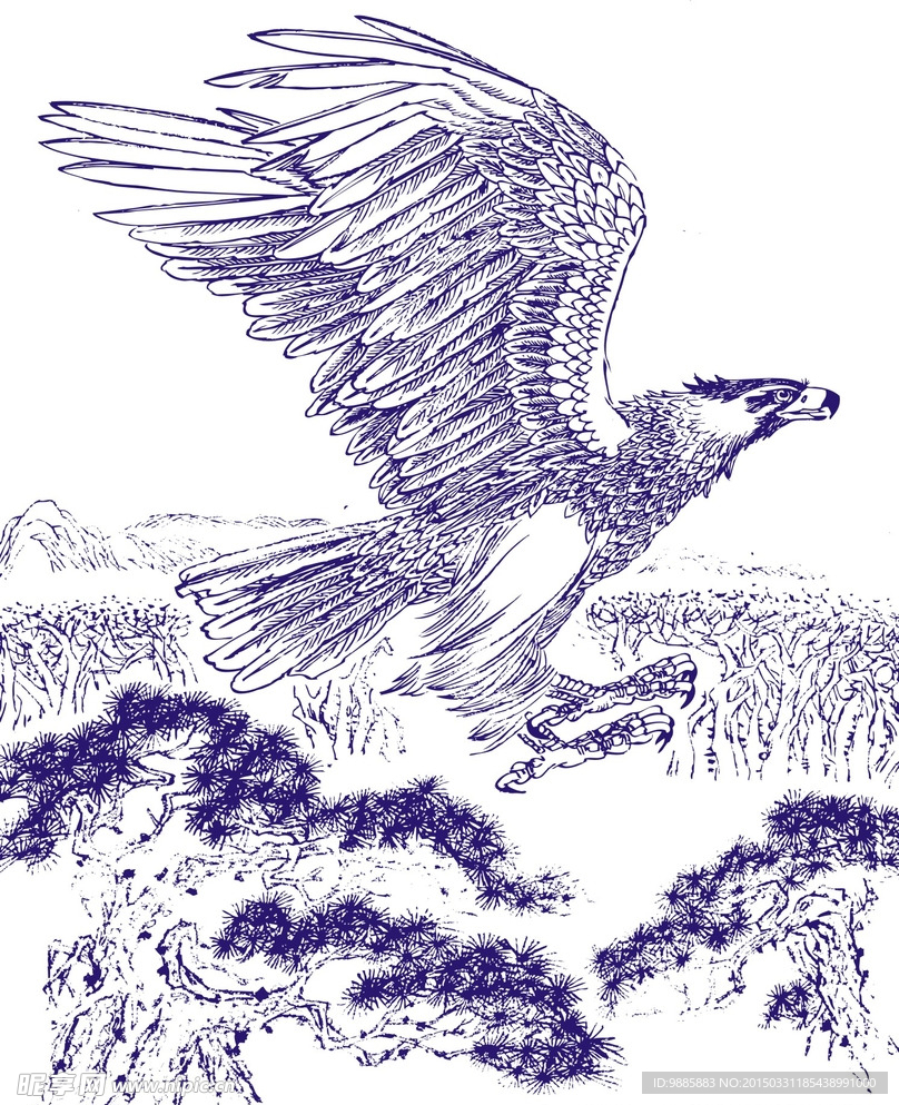 雄鹰