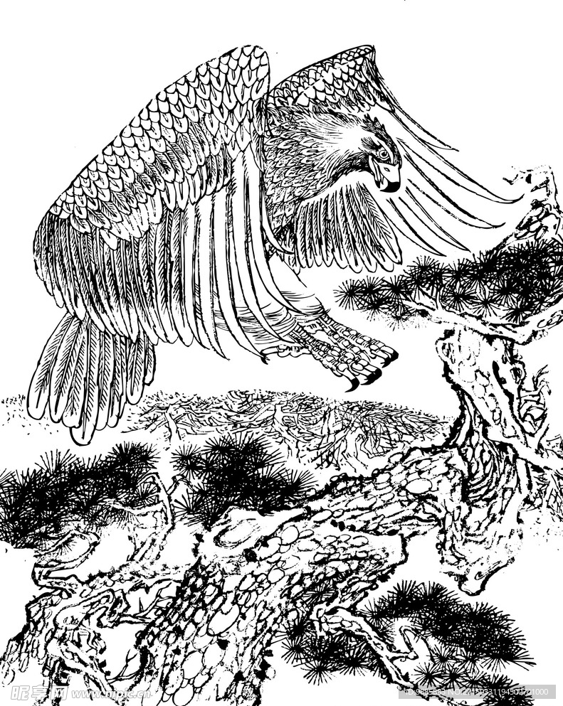 雄鹰