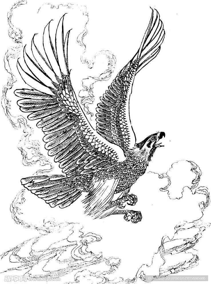雄鹰
