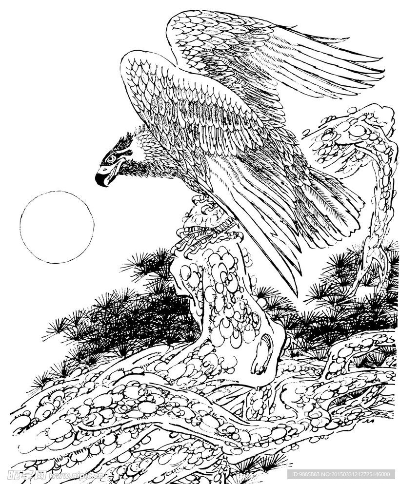 雄鹰