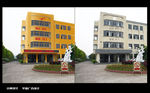 学校