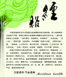 经络海报