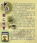 中医·国之瑰宝