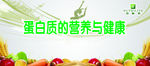蛋白质营养健康