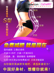 美容彩页