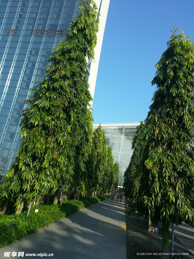 新加坡景观