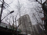 上海街景