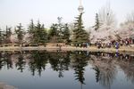玉渊潭公园风光