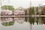 玉渊潭公园风光