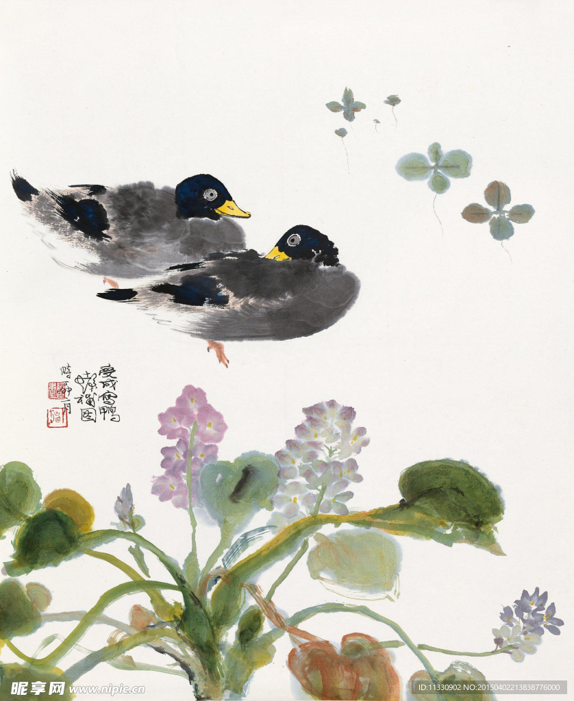 双鸭花卉
