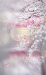 唯美古风樱花