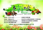 春鲜美食促销