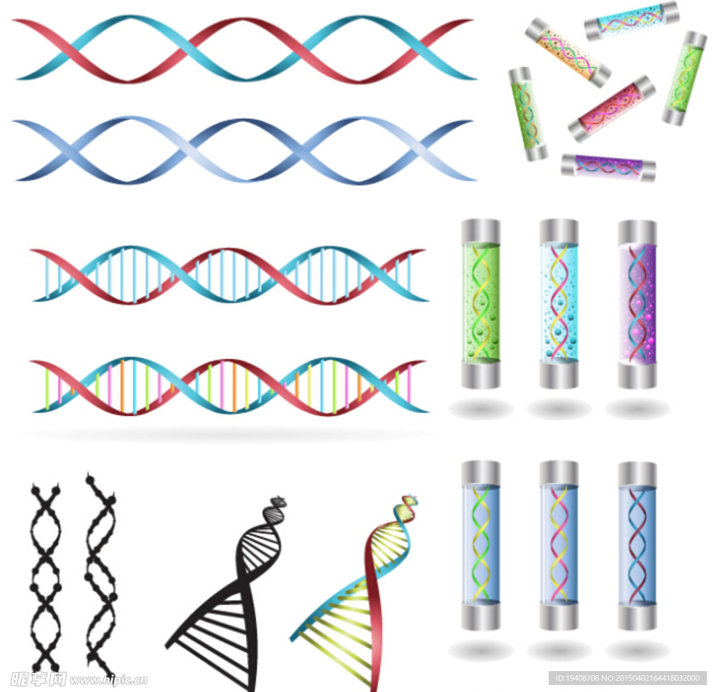 DNA 生物科技