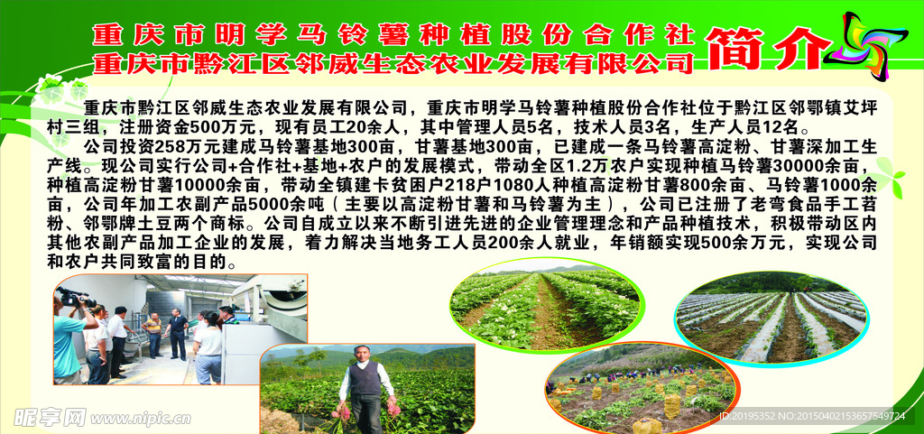 企业简介展板