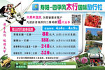 太行国际旅行社踏春优惠广告