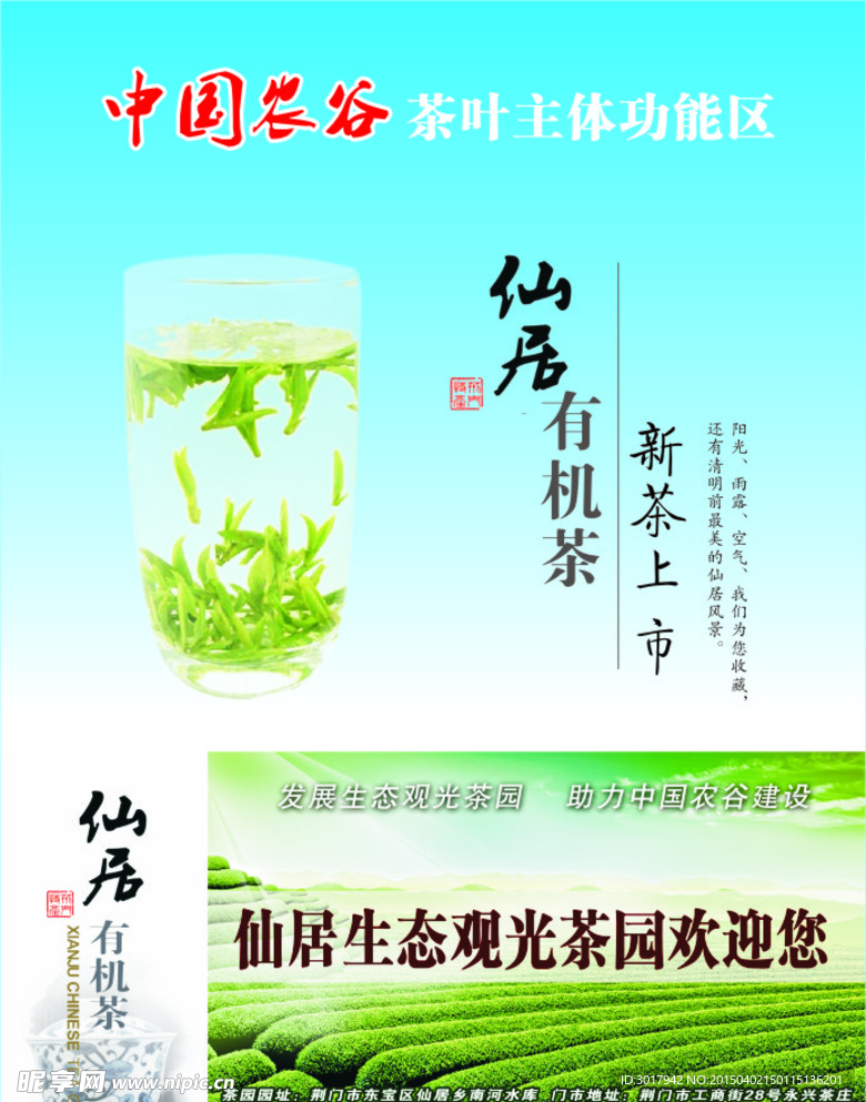 仙居茶