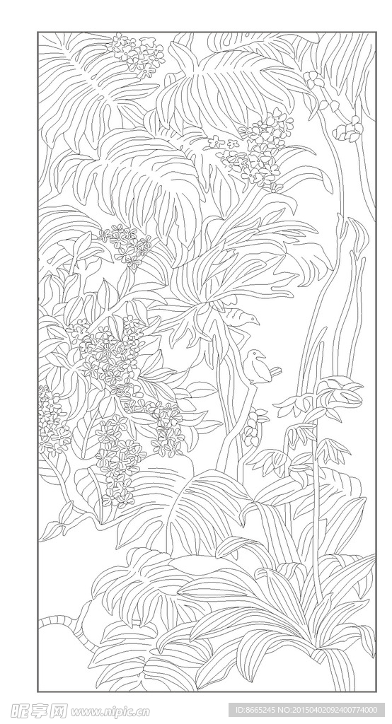 兰花蕉叶线描图