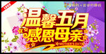温馨五月感恩母亲