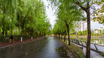 东湖公园