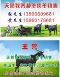 养殖名片