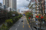 深圳街景