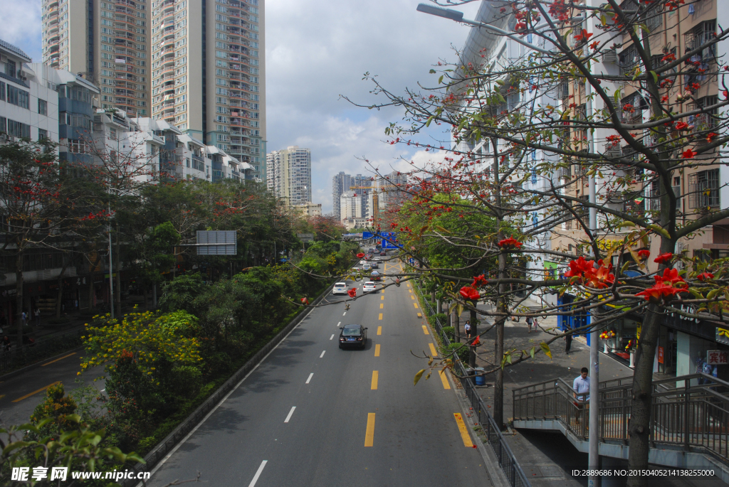 深圳街景