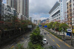 深圳街景