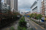 深圳街景