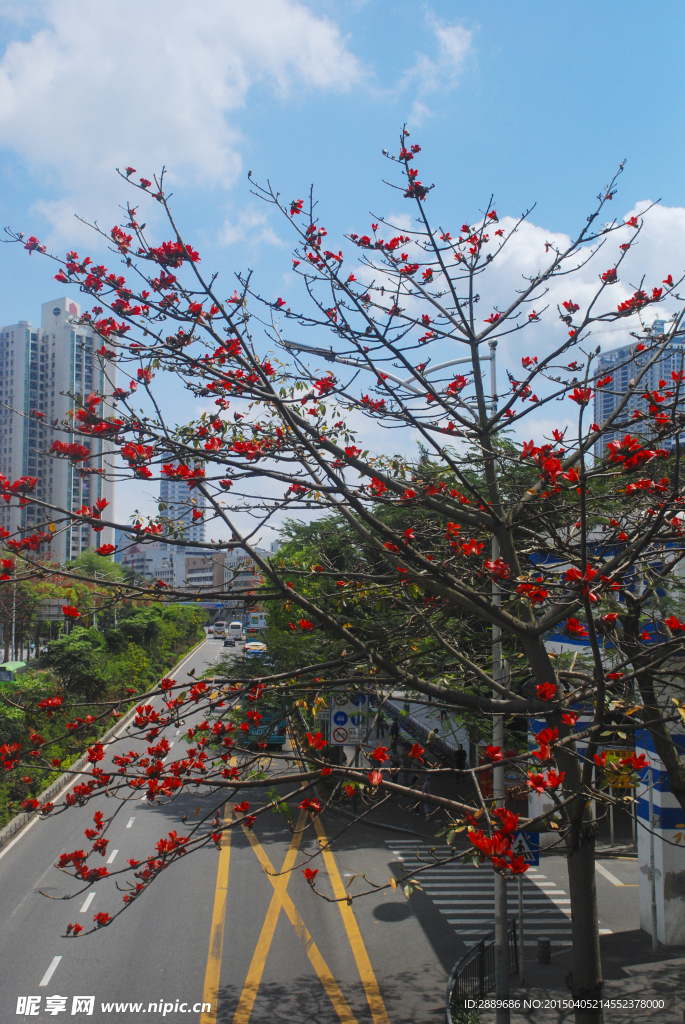 深圳街景