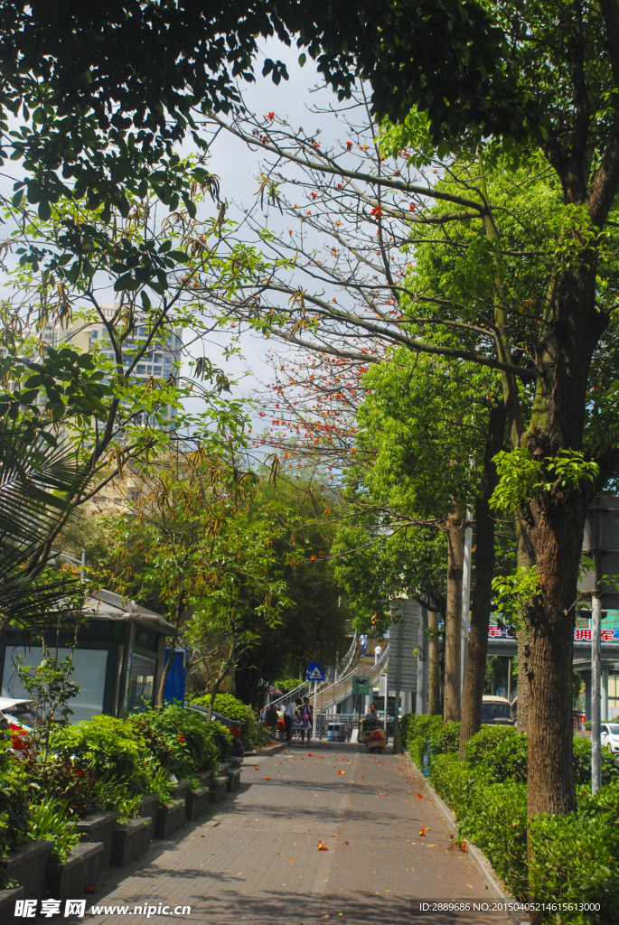 深圳街景