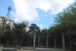 深圳街景
