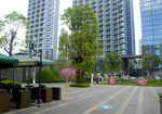 深圳街景