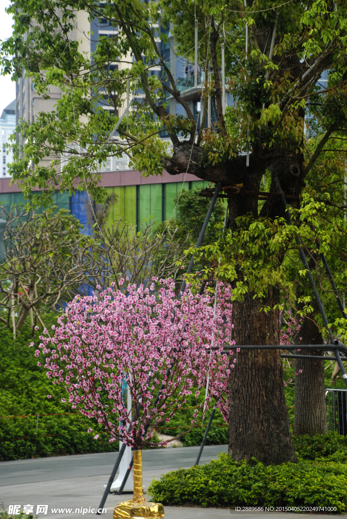 深圳街景