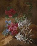 阿黛勒·舒斯特作品