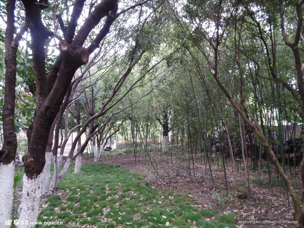 自然风景