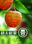 荔枝海报DM单